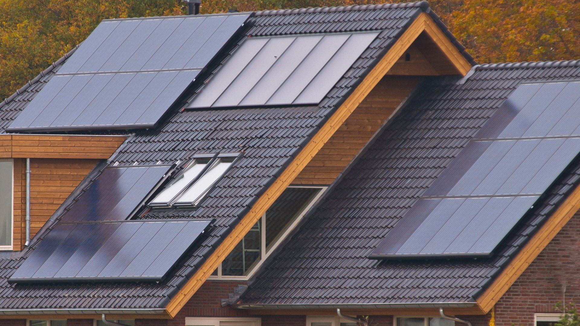 roof repair roofing company